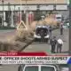 Officer shoots armed suspect after car break-ins in St. Louis, three arrested