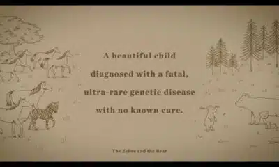 "The Zebra and the Bear" raising awareness about rare disease, treatment options