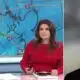 Snow in Houston: Utilities expert shares advice on power outages amid winter storm warning