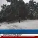 WLOX Snow Day, 2 p.m. (1/21/25)