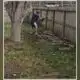 Dog expected to make full recovery after being hit, kicked by Sugar Land man in backyard