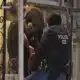 Louisiana attorney general filing lawsuit against Orleans Parish sheriff over immigration policies