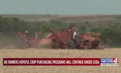 OK farmers hopeful crop purchasing programs will continue under USDA