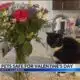 How to avoid a trip to the emergency vet this Valentine's Day