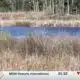 Moss Point middle school launches program to teach students about protecting their environment