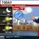 Wednesday Forecast: Another gorgeous day, with a few showers tomorrow