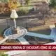 Warner Bros. demands removal of Chickasha's iconic leg lamp