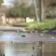 Water main break affecting man’s property east of downtown worsening