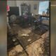 50 Rottweilers and other dogs rescued in Watauga animal cruelty case
