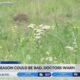 Managing allergies in Mississippi: Early symptoms and treatments