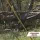 Volunteers step up to help survivors of Mississippi tornado outbreak