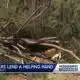 Volunteers helping with storm recovery in Tylertown