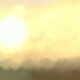 Firefighters Make Progress Controlling Pauline Road Fire in San Jacinto & Montgomery Counties