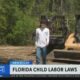 Florida labor law aims to replace deported migrant workers with teenagers