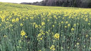 Bills limiting liability of pesticide makers sweeping through legislatures | Georgia