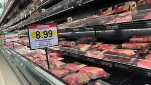 Competing bills on ending grocery taxes up for debate on Tuesday | Tennessee