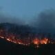Dry, windy conditions remain troublesome in Carolinas wildfires | North Carolina