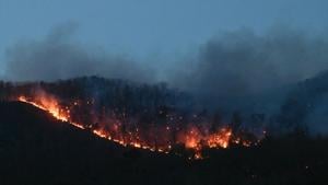 Dry, windy conditions remain troublesome in Carolinas wildfires | North Carolina