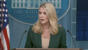 White House excoriates Democrats, press for ‘misinformation campaign’ about Signal leak | National