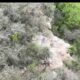 2 men rescued after climbing down cliff to retrieve cellphone