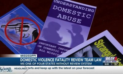 Senate bill to create domestic violence fatality review board