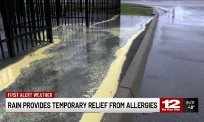 Rain provides pollen relief, but allergist warns: ‘It’s going to come right back’