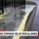 Rain provides pollen relief, but allergist warns: ‘It’s going to come right back’
