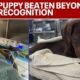 Puppy beaten beyond recognition fighting for its life