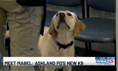 Ashland Police Department welcomes electronic sniffing K-9