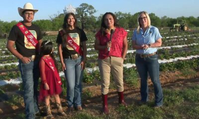 KSAT's Patty Santos speaks with Poteet Strawberry Festival court members, organization VP