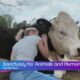 The Gentle Barn: Inspiring Kindness and Compassion