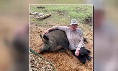 El Campo family's beloved pet pig, Rosie, shot and killed in broad daylight