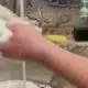 Dish Soap: The Versatile Cleaning Hero You Didn't Know You Needed