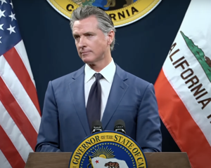CA fails audit of federal programs, 66% of COVID unemployment benefits in question | California