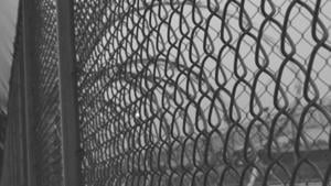 Firing squad execution South Carolina's 2nd in 36 days | South Carolina