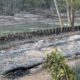 Helene: Renewed focus on health of North Carolina streams | North Carolina