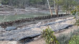 Helene: Renewed focus on health of North Carolina streams | North Carolina