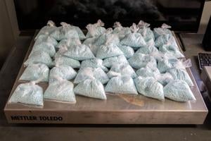 Kelly introduces U.S. Senate bill to fight fentanyl trafficking | Arizona