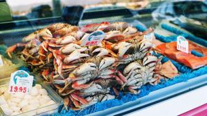 Lawmakers propose work visa expansion for seafood industry | Virginia