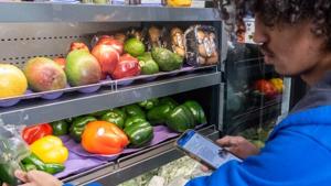 Lawmakers seek to expand work requirements for those on food stamps | National