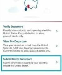 Nearly 1 million facing deportation released into U.S. through CBP One App | National