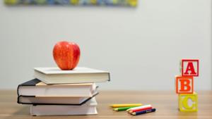 Principals say the oppose student immigration bill | Tennessee