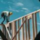 Texas breaks jobs records again, but oil-gas sector outlier indicates volatility | Texas