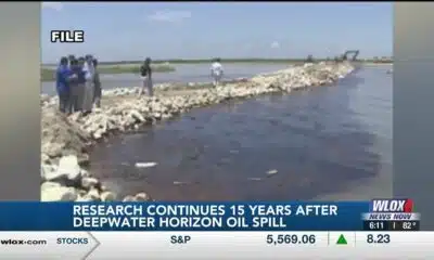 Research, restoration efforts continue 15 years after Deepwater Horizon Oil Spill