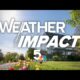 St. Louis forecast: Rain, at times, cooler temperatures through the weekend