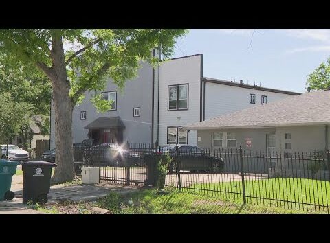 HPD: Houston roommates' dispute over cats leads to stabbing death