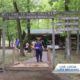 Girl Scouts of North-Alabama celebrates 100 years of Camp Coleman