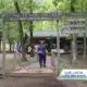 Girl Scouts of North-Alabama celebrates 100 years of Camp Coleman