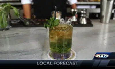 Making a mint julep with Delish magazine