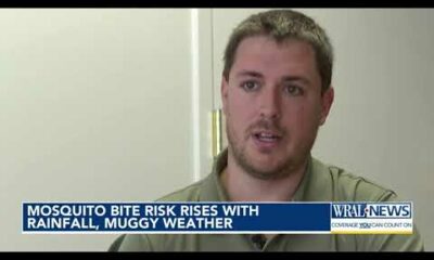 Mosquito bite risk rises with rainfall, muggy weather